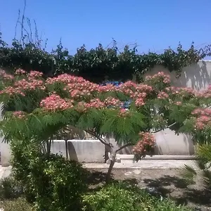  Hébergement de vacances Domus Austri Italie